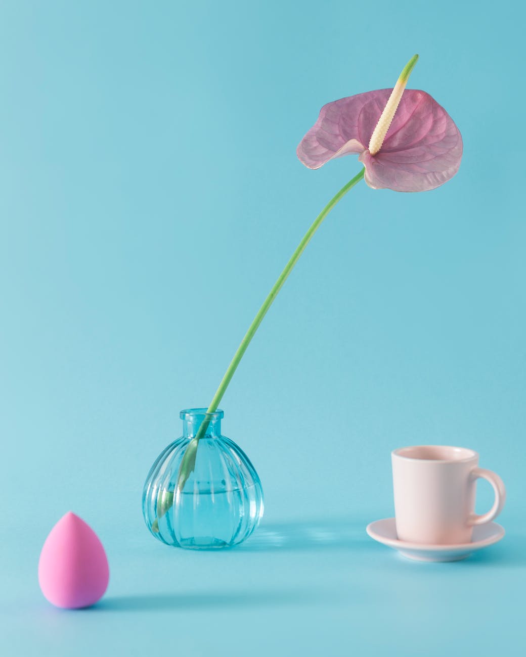 pink anthurium in vase near makeup sponge and cup